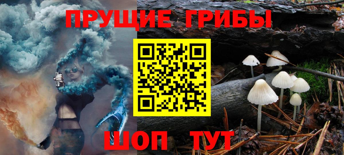 Галлюциногенные грибы Psilocybine cubensis  Галлюциногенные грибы Psilocybe  Вход с VPN  Ачхой-Мартан 