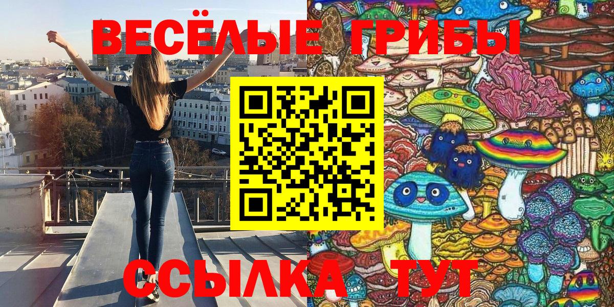 Галлюциногенные грибы Psilocybine cubensis Ачхой-Мартан